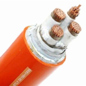 Mineral Insulated Copper Clad Cable