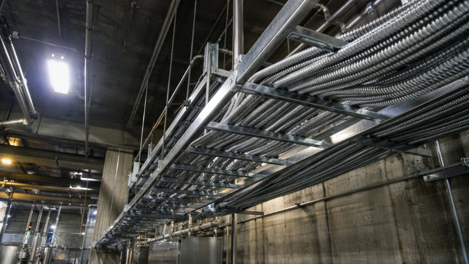 Type MC armored cable installed in an industrial facility cable tray alongside conduit runs